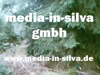 media-in-silva gmbh_logo